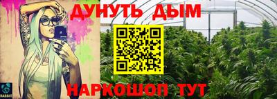 индика Абакан