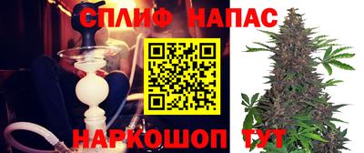 индика Абакан