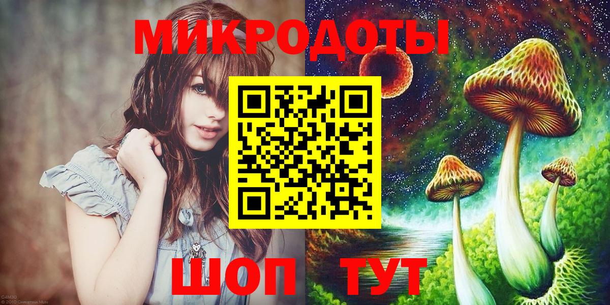 Галлюциногенные грибы Psilocybe Соликамск