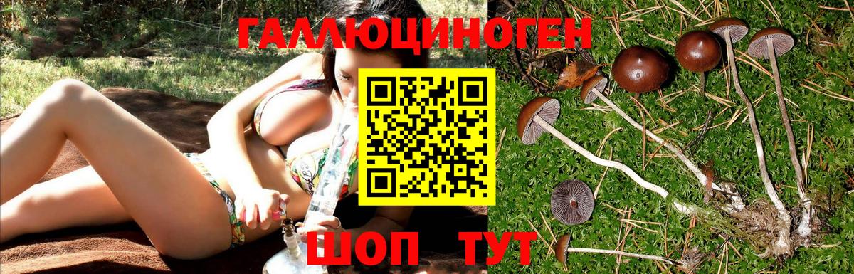 Галлюциногенные грибы мухоморы  Галлюциногенные грибы GOLDEN TEACHER  Вход с VPN  Соликамск 