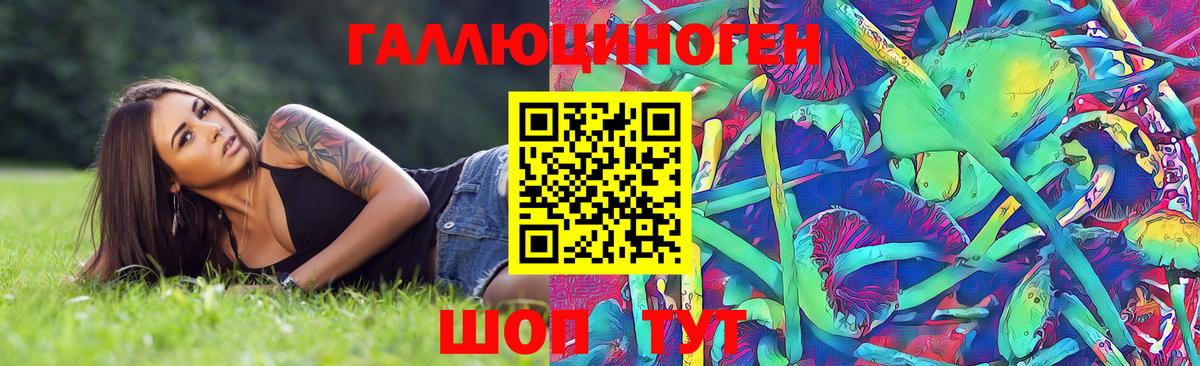 Псилоцибиновые грибы мицелий Соликамск